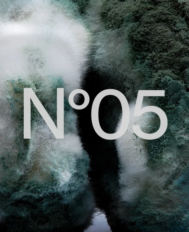 Aerial forest river landscape with typography, photographic, dark-mode, dark