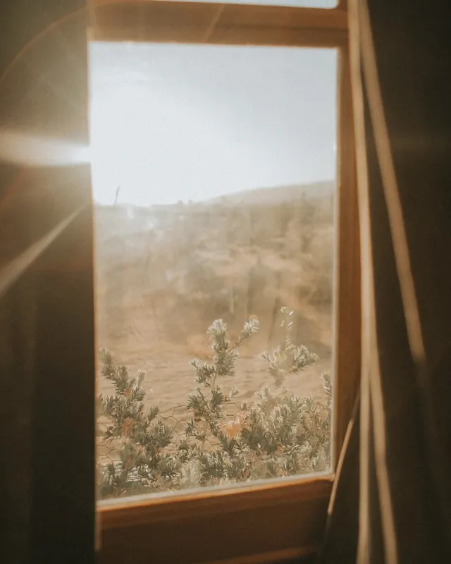 Window View Landscape