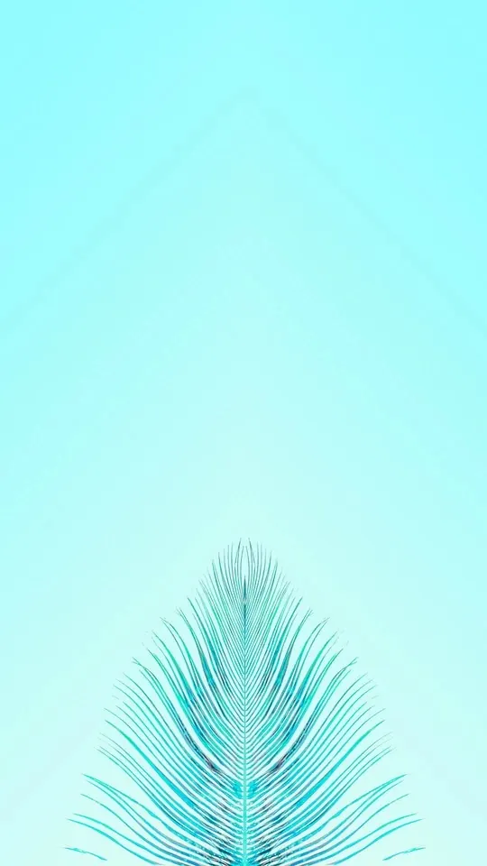Single Turquoise Feather on Cyan Background, minimal, light