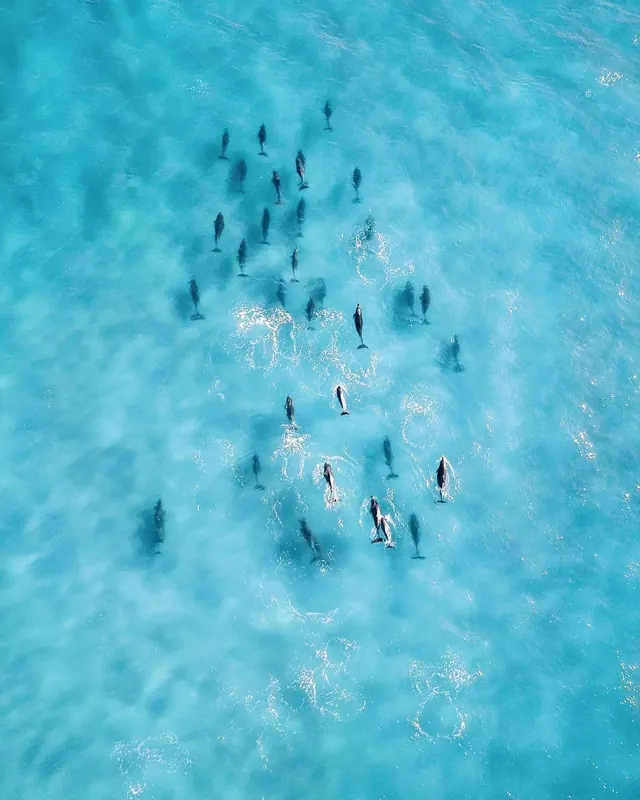Aerial View of People in Water