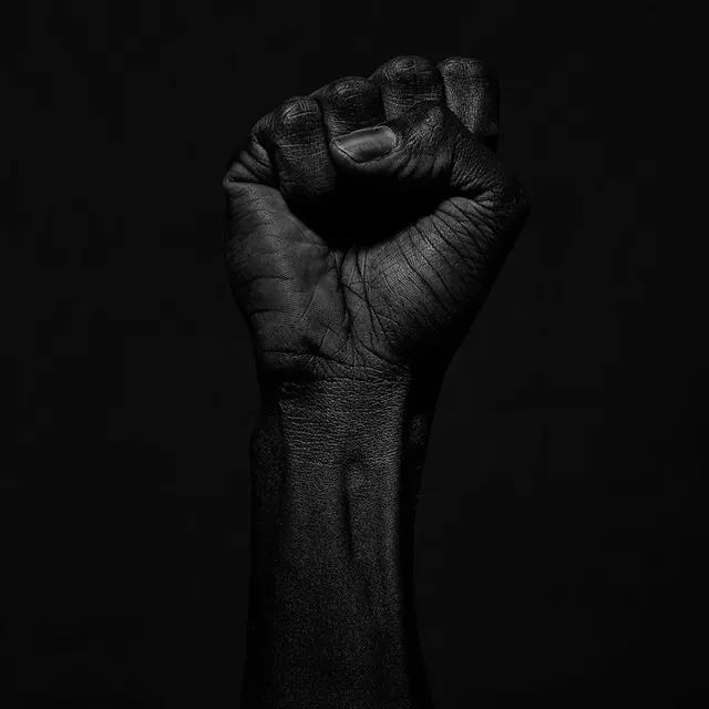 Monochrome Clenched Fist