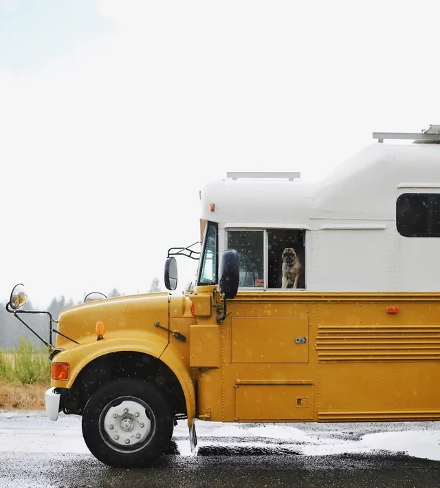 Converted school bus with pug, photographic, minimal, muted