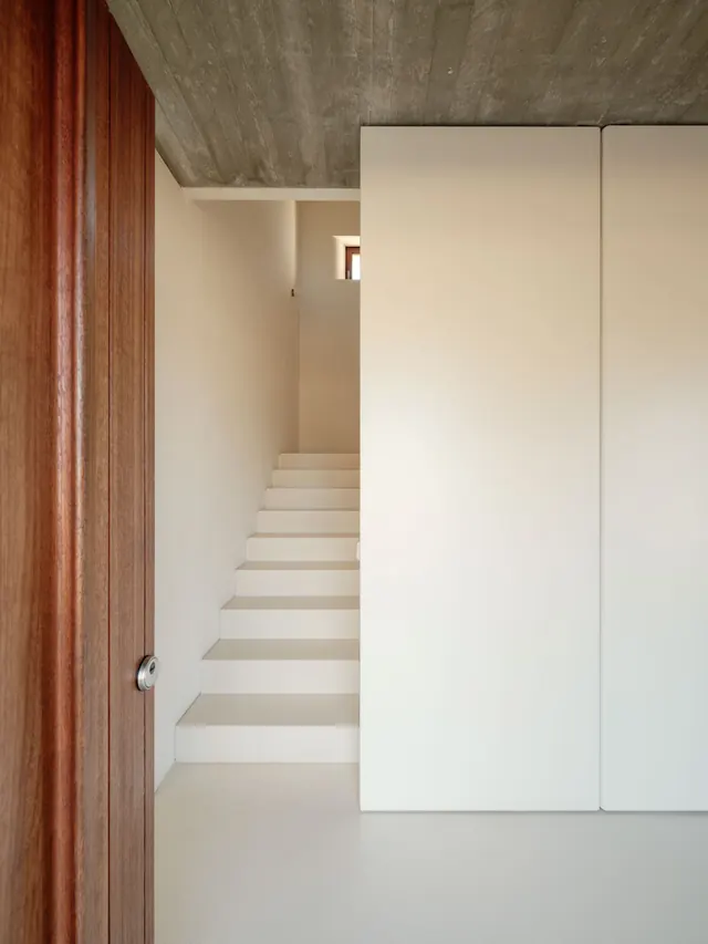 Pivot door interior architecture, minimal, organic, warm