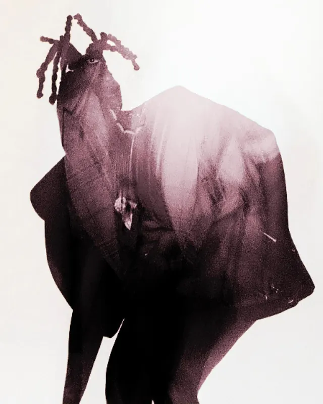 Double-exposure plum portrait, photographic, editorial, muted