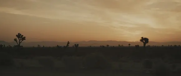Desert Sunset Landscape