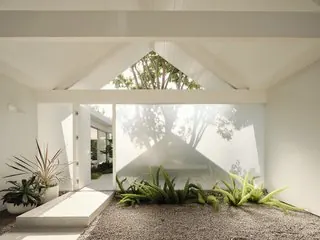 White gabled entry with frosted tree screen, minimal, organic, light
