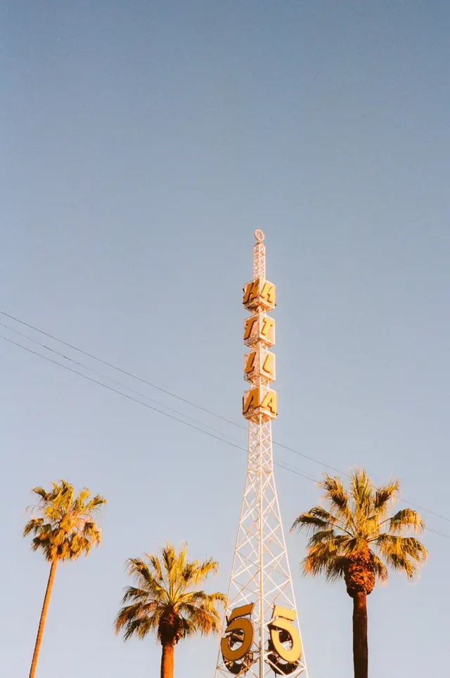 Palm Trees and Tower Architecture