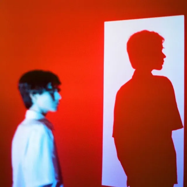 Red Silhouette Projection