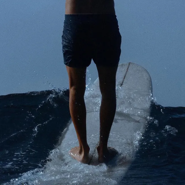 Surfer on a Wave
