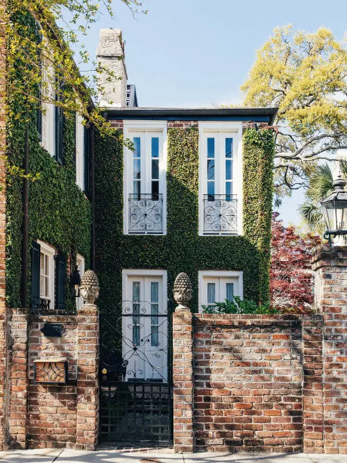 Ivy-Covered Brick Architecture