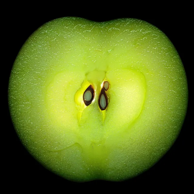 Cross-section of a green apple