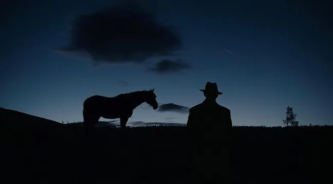 Silhouette of a Man and Horse