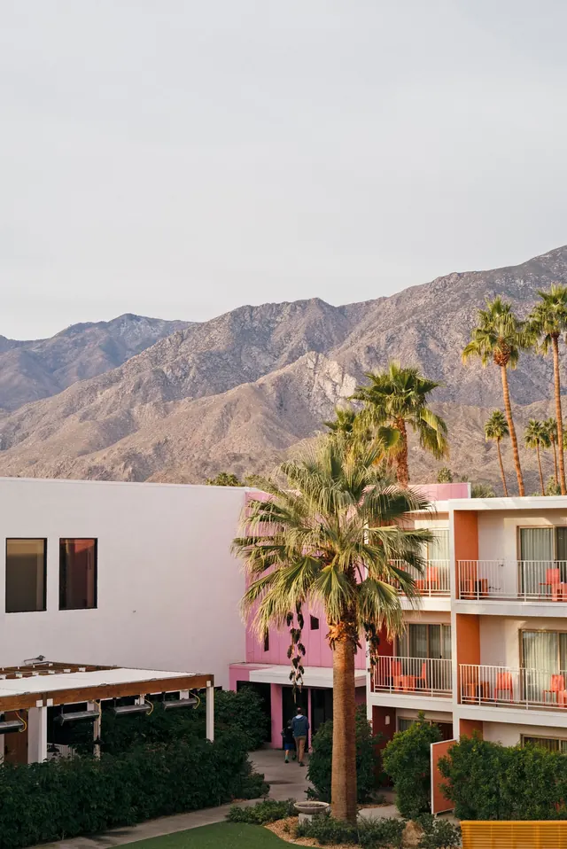 Modern Architecture and Palm Trees