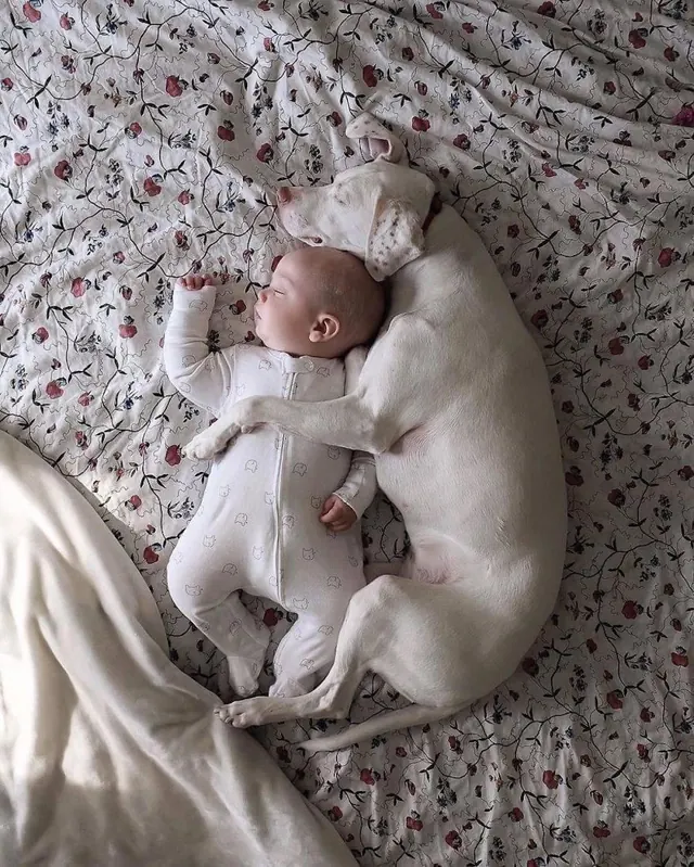 Infant in White Fabric