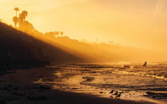 Golden Hour Beach Landscape