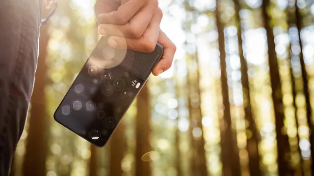 Smartphone in Forest Setting