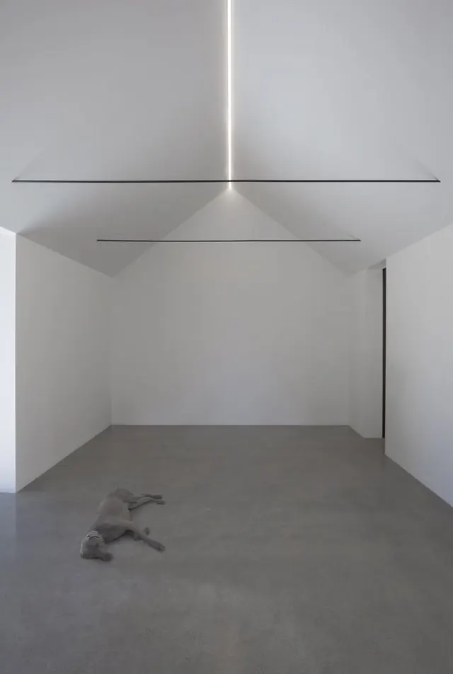 mpzFKxN, photographic, light