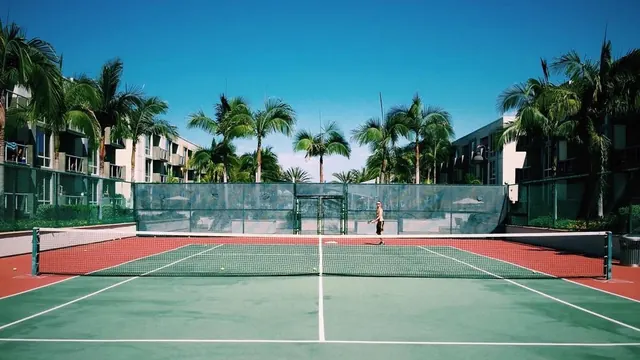 Tennis court with palm trees, photographic, vibrant, vibrant