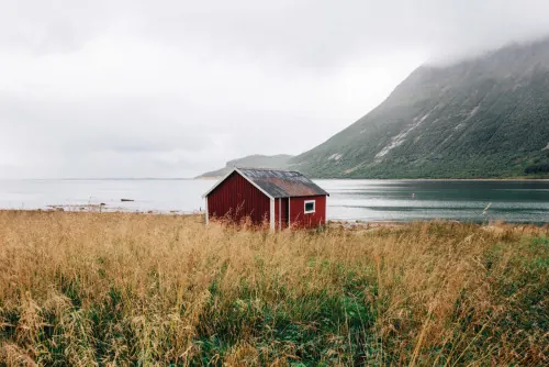 Scandinavian landscape with red cottage, photographic, organic, earthy