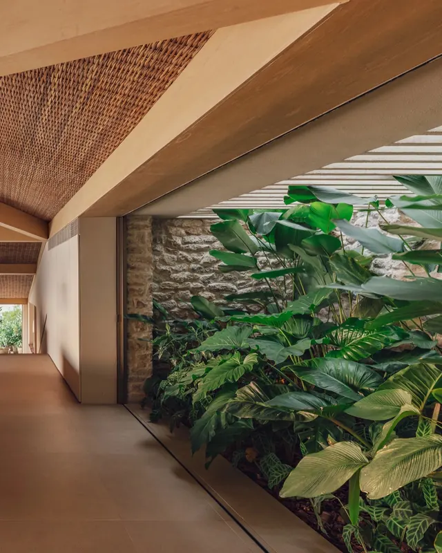 Contemporary brick corridor with hanging plant installation, organic, photographic, warm