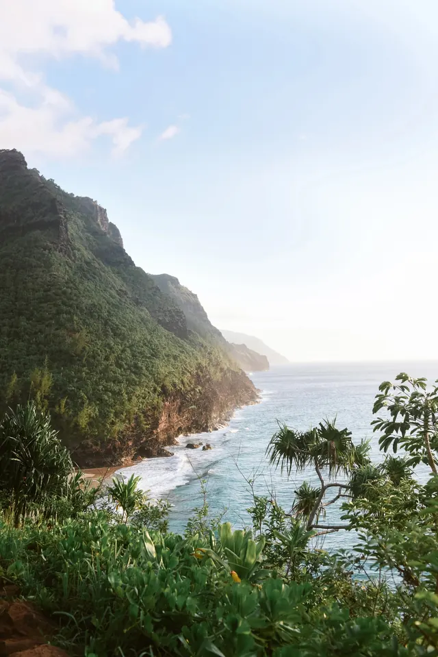 Coastal cliff landscape with tropical vegetation, photographic, organic, green