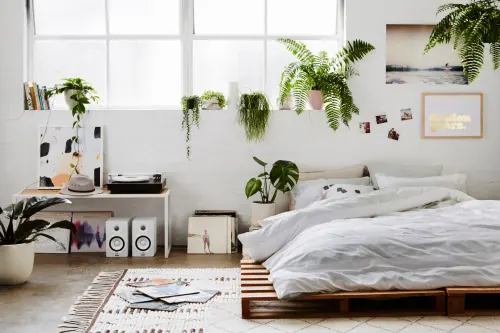 Bedroom with hanging plants and warm wood bed, minimal, organic, warm