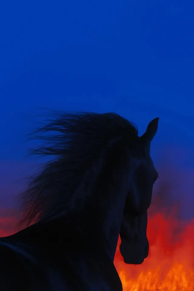 Silhouetted horse against blue to orange gradient, photographic, gradient-heavy, dark
