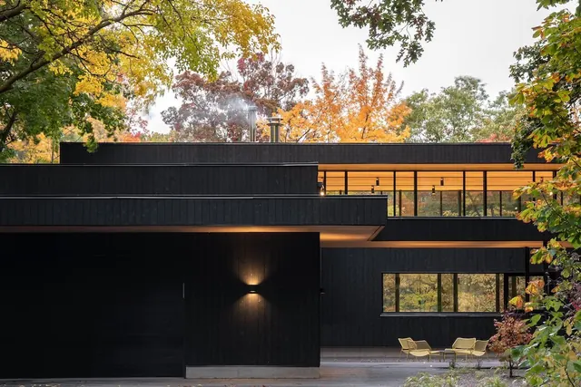 Modern black house with autumn foliage, organic, photographic, dark
