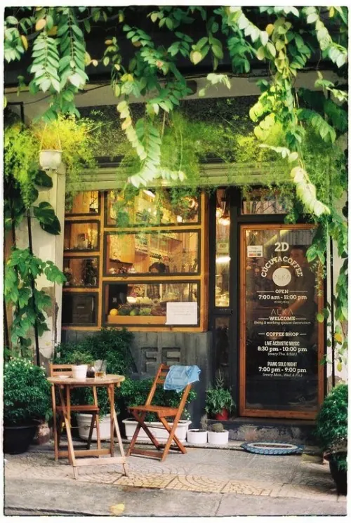Ivy-covered storefront with wooden seating, organic, photographic, earthy