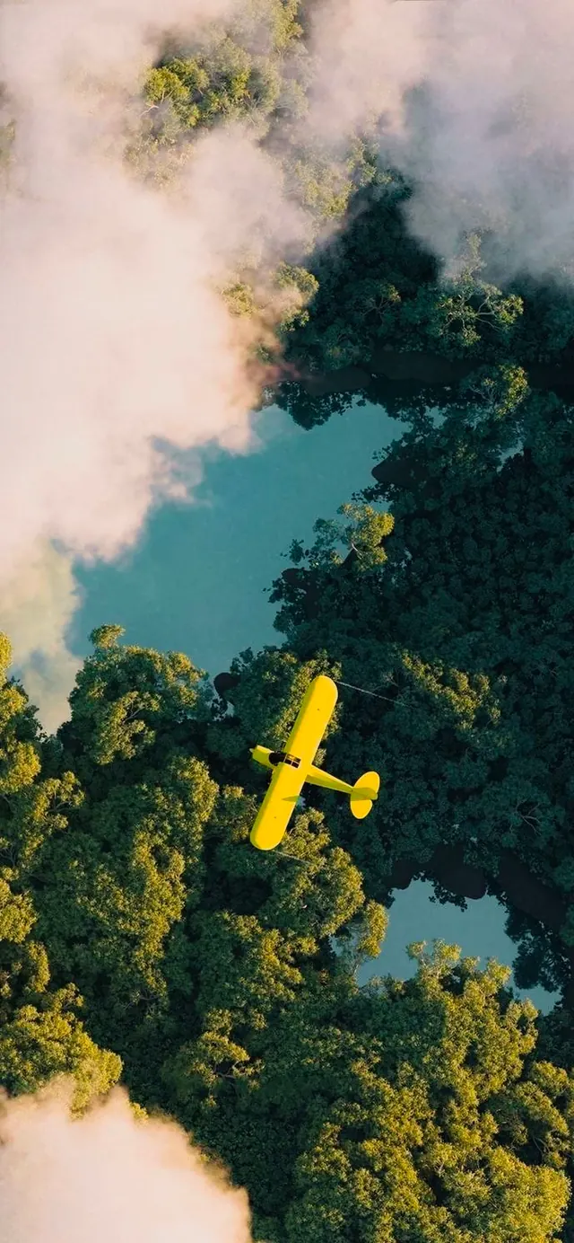 Aerial view of yellow aircraft over forested landscape, photographic, vibrant