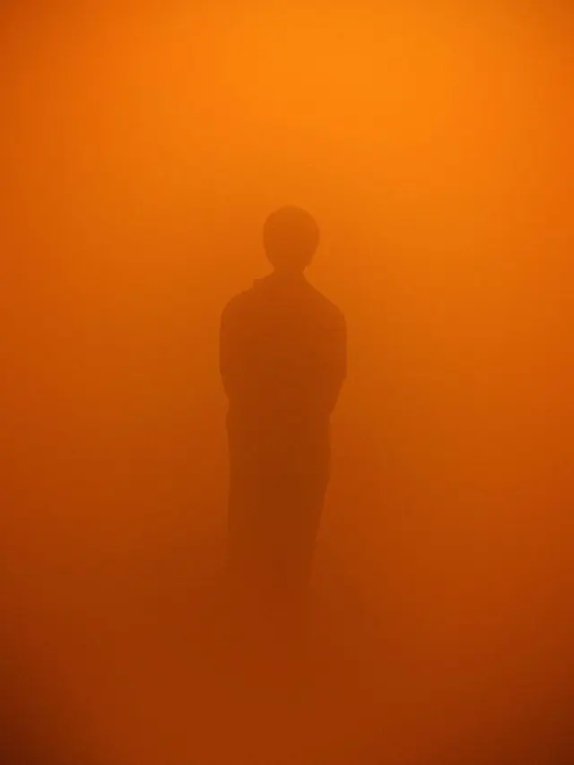 Monochromatic portrait silhouette, photographic, minimalist, warm