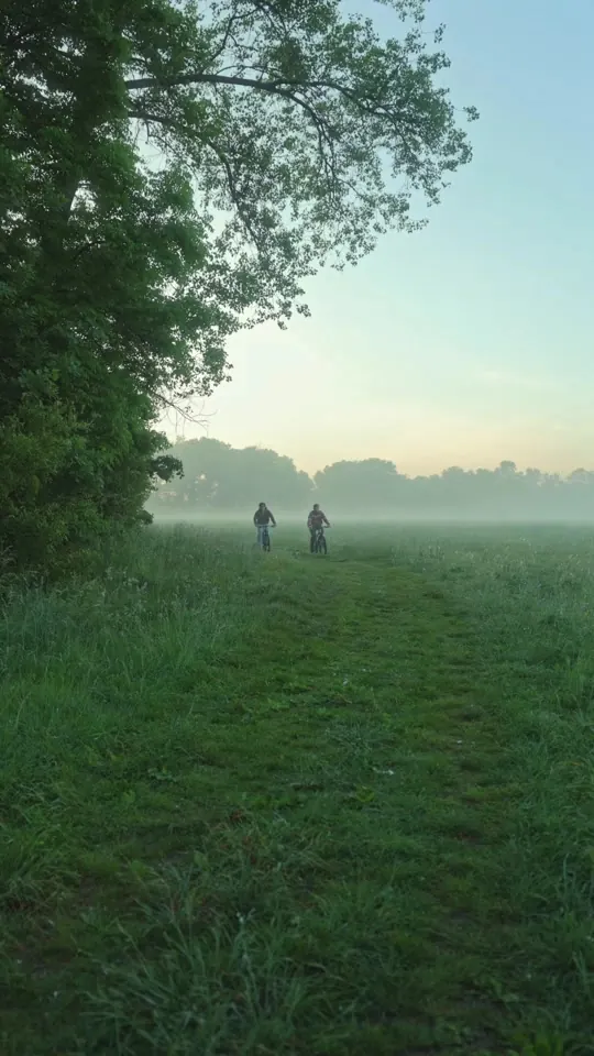 Two figures in misty meadow at sunrise, photographic, organic, cool