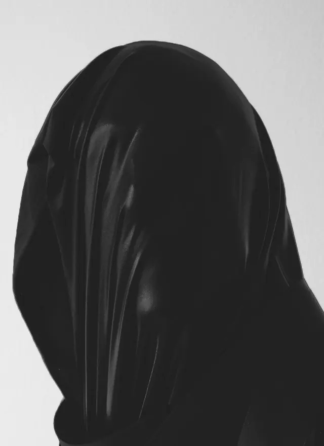 Monochrome portrait with fabric veil, monochrome, photographic, dark