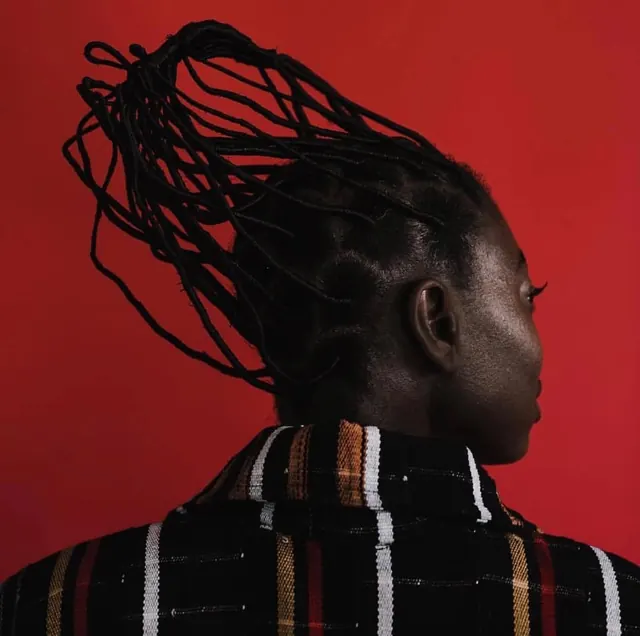 Portrait with textured black braids, photographic, vibrant