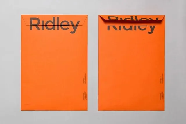 Visual design inspiration, photographic, vibrant