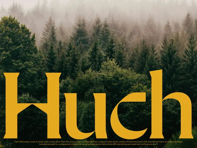 Forest canopy with bold golden type overlay, photographic, editorial, cool