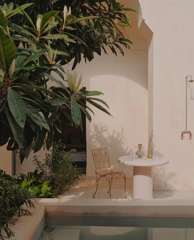 Minimalist interior with green plants and pedestal table, minimal, organic, light