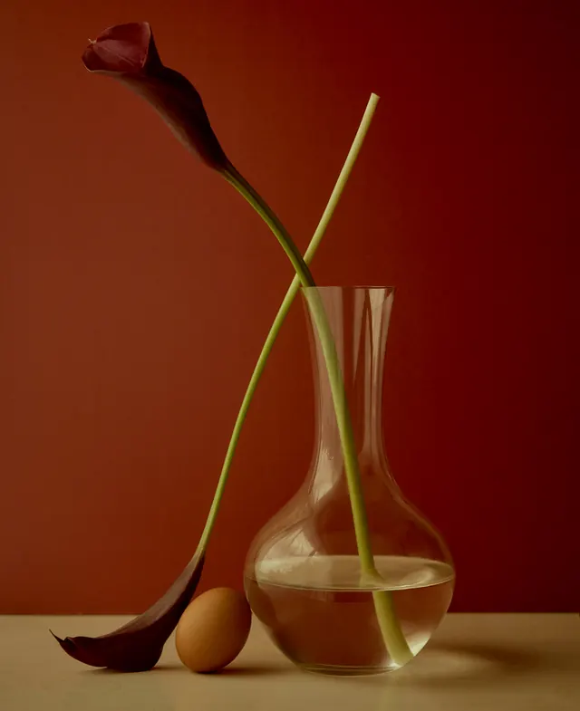 Still life with vase and flowers, photographic, minimal, warm