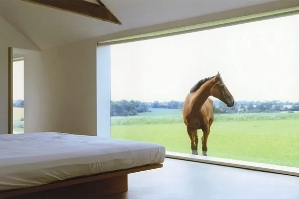 Interior View with Horse Landscape