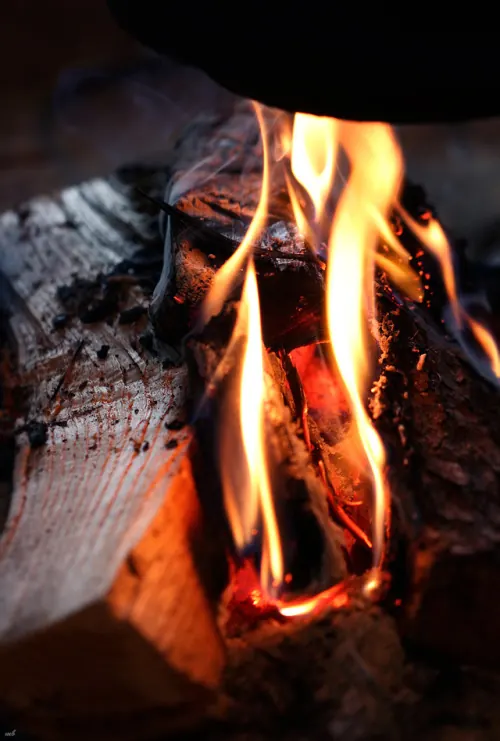 Burning Wood Logs