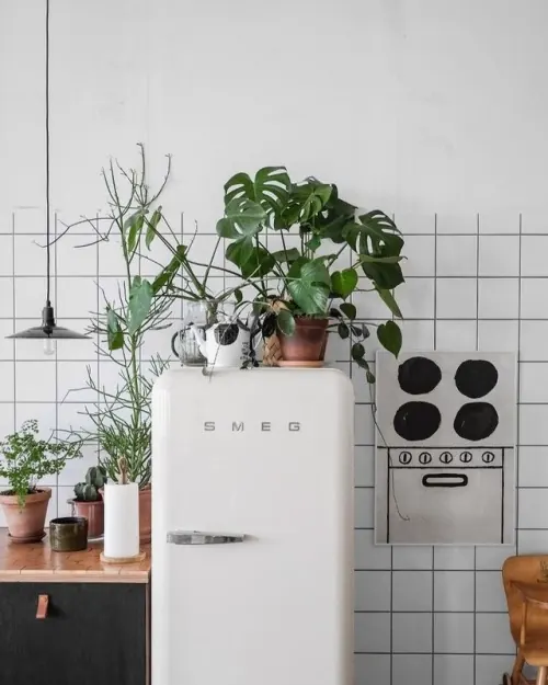 Minimalist Kitchen Interior