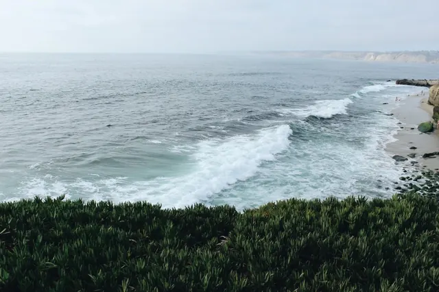 Coastal Landscape View