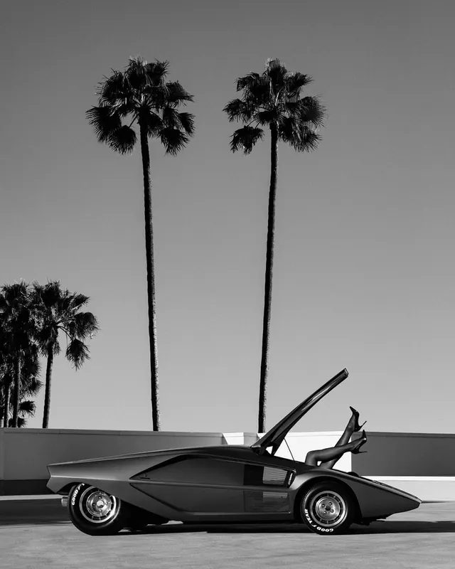 Monochrome Sports Car and Palm Trees