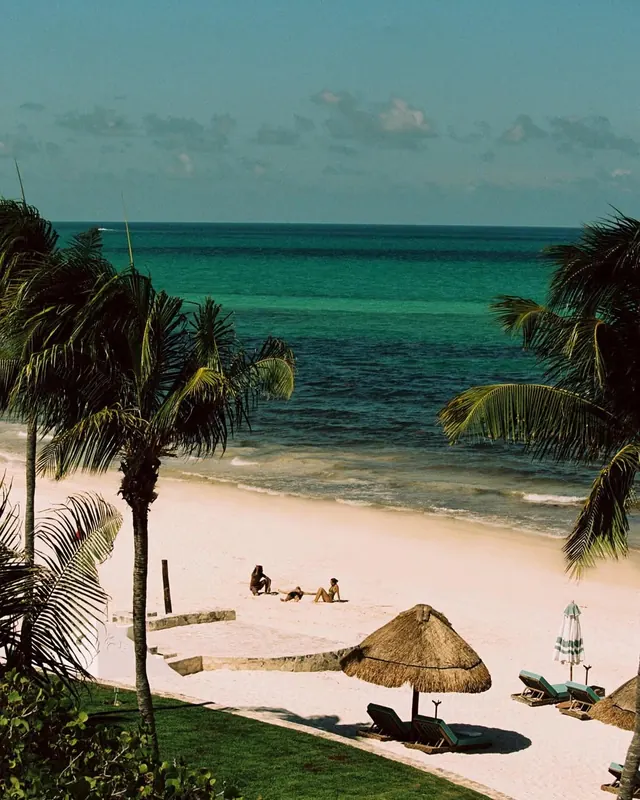 Tropical Beach Landscape