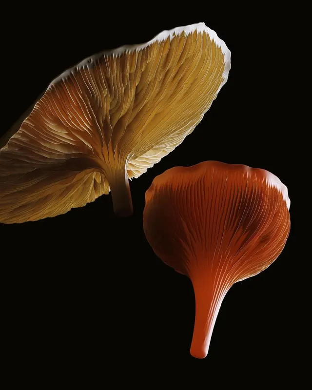 Macro Mushroom Study