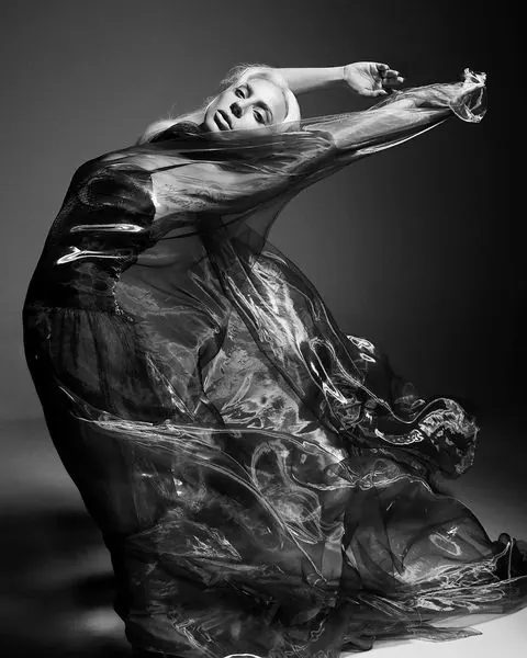 Monochrome Fluid Figure