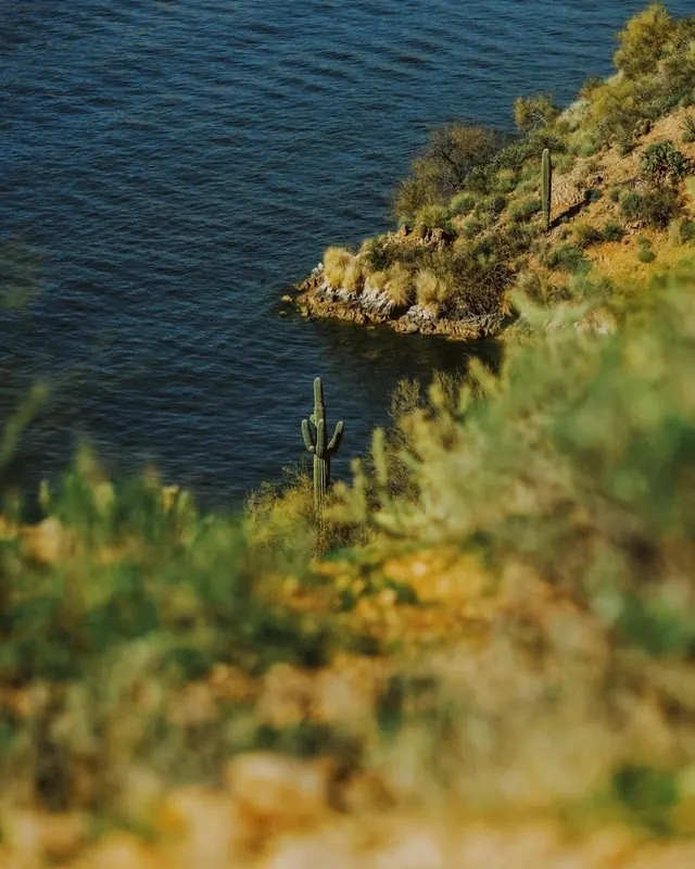 Coastal Landscape Photography