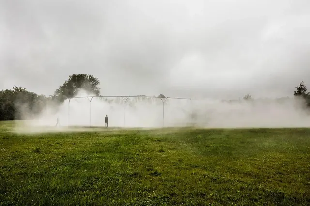 Foggy Field Landscape
