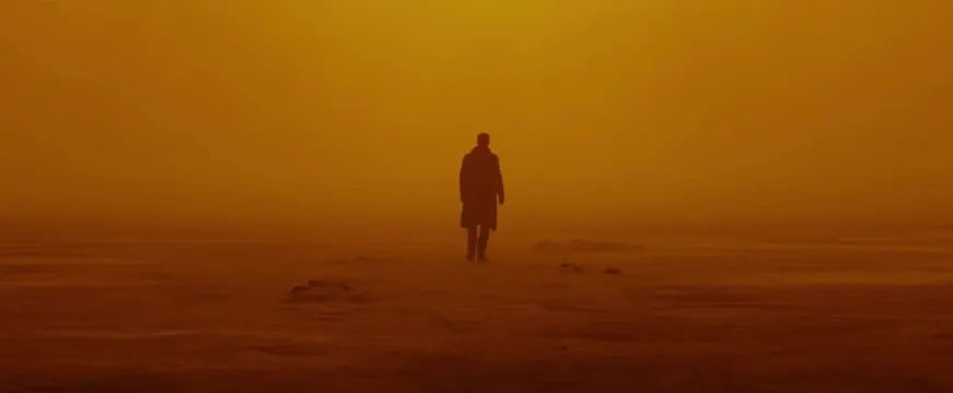 Desert Landscape Silhouette