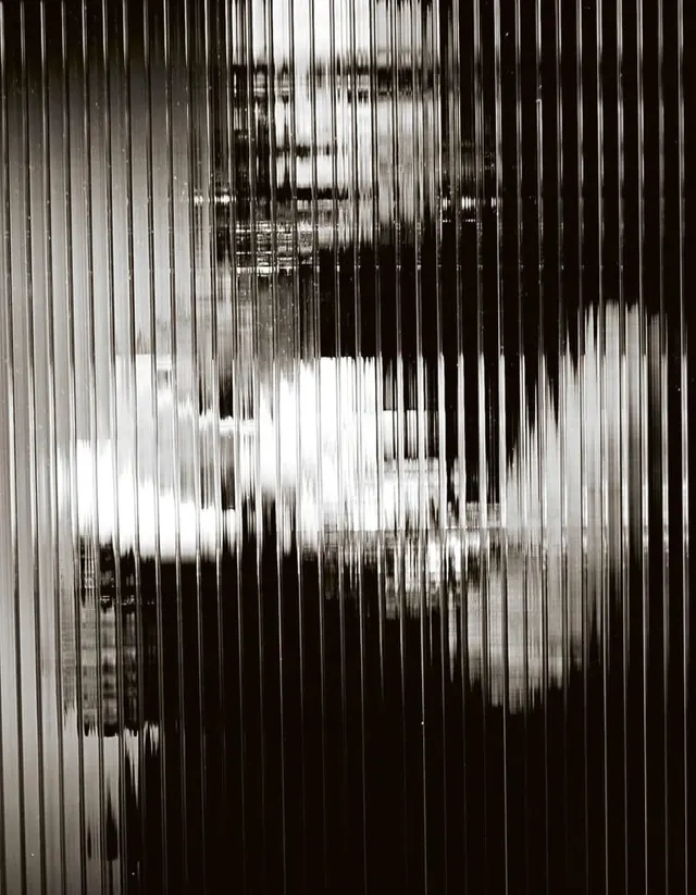 Distorted Portrait with Vertical Lines, monochrome, abstract, monochrome